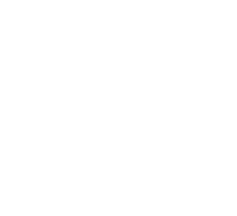 Deputada Federal Iriny 1333 — Experiência e coragem de mulher