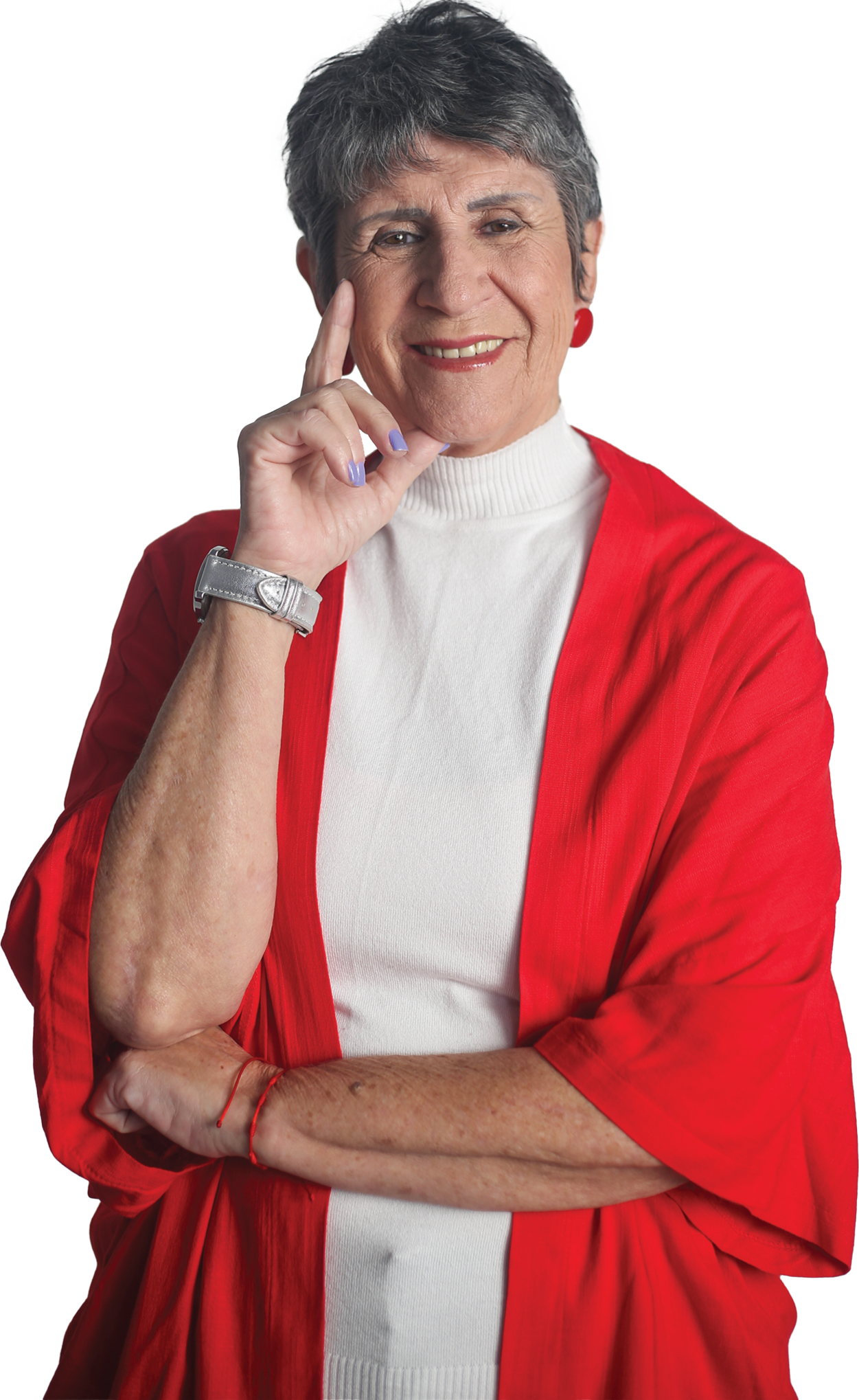 Iriny Lopes em foto oficial da campanha
